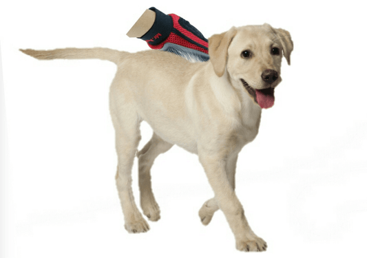 Mr. Peanut's Ultimate Pet Grooming Glove - Effortless Fur Removal Solution