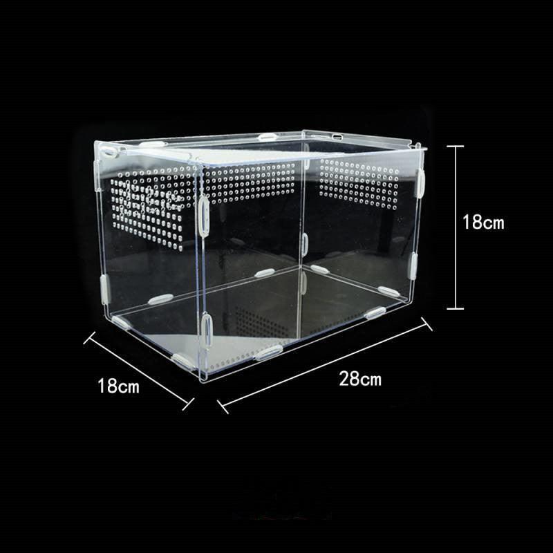Acrylic Reptile Feeding Habitat - Transparent Thermal Box