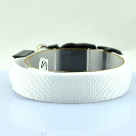 Luminous Glow Dog Collar - Illuminate Your Pup In Style!