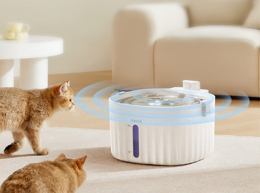 Smart Pet Water Fountain