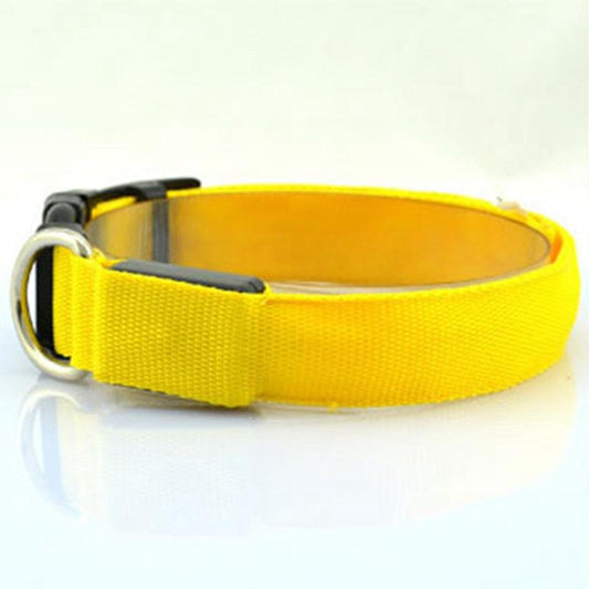 Luminous Glow Dog Collar - Illuminate Your Pup In Style!