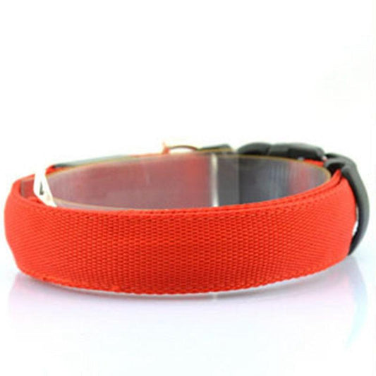 Luminous Glow Dog Collar - Illuminate Your Pup In Style!