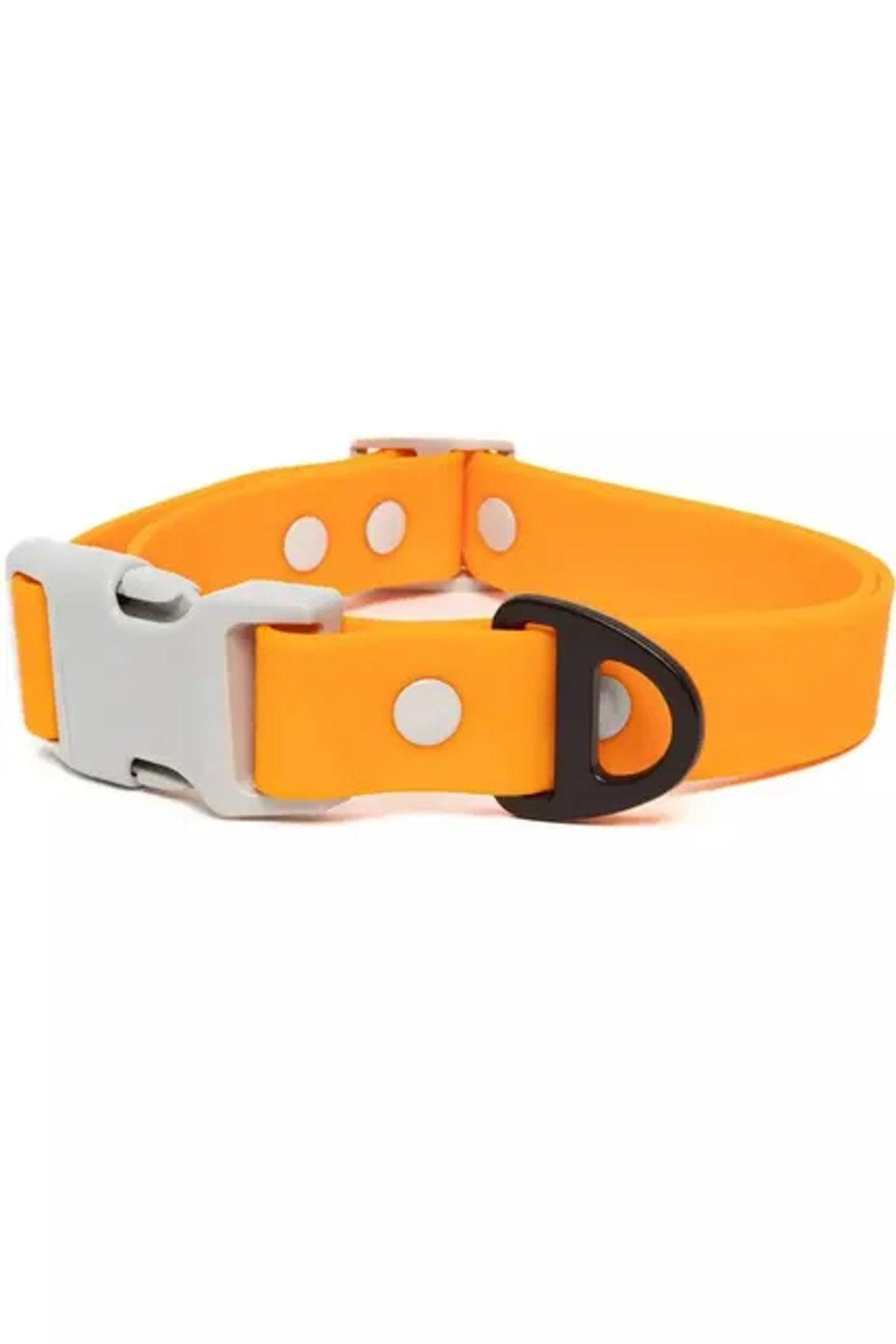 Crimson Glow Waterproof Nylon Dog Collar